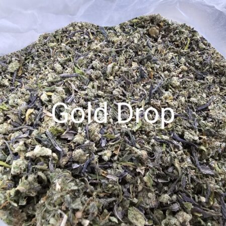 Gold Drop (ใบทริม Indoor)