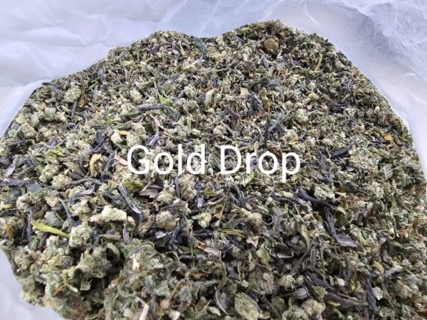 Gold Drop (ใบทริม Indoor)