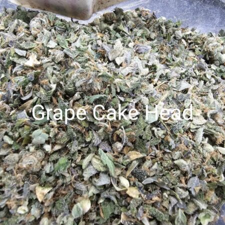 Grape Cake Head (ใบทริม Indoor)