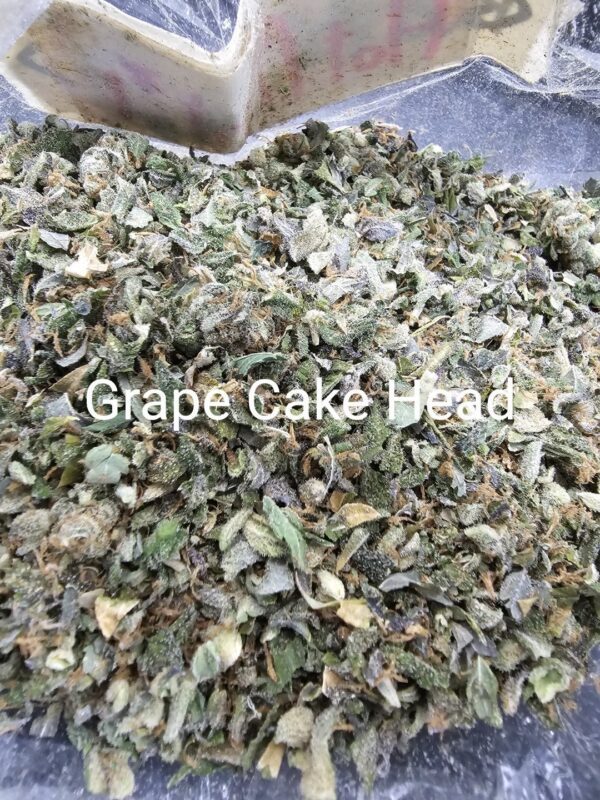 Grape Cake Head (ใบทริม Indoor)