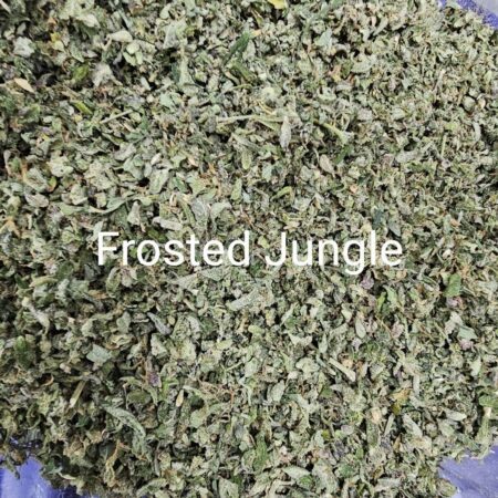 Forsted Jungle (ใบทริม Indoor)