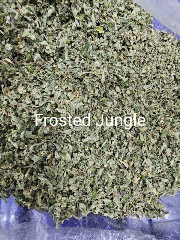 Forsted Jungle (ใบทริม Indoor)